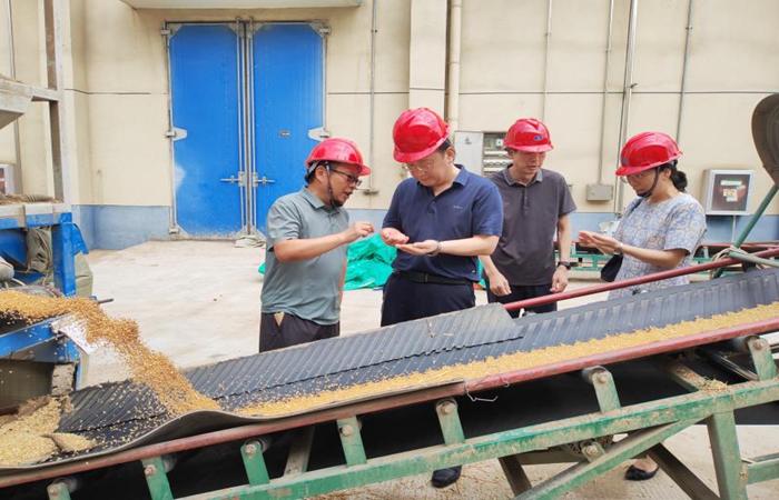 局黨組書記、局長蔣超督導(dǎo)省儲小麥收購和糧食倉儲項目建設(shè)工作