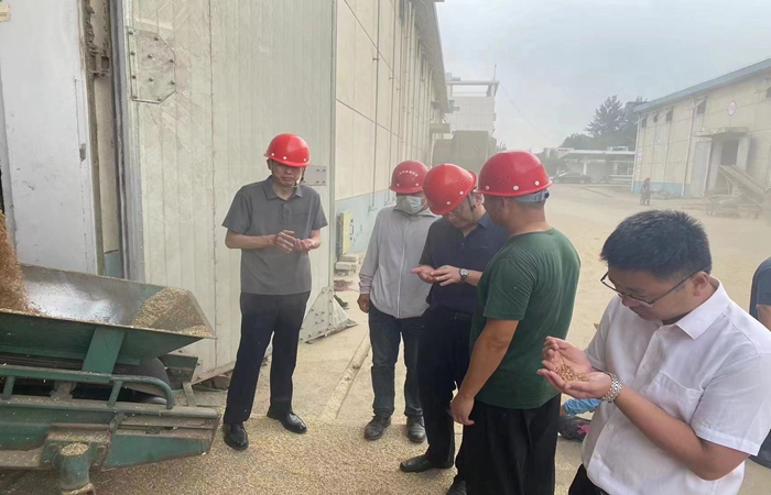 局黨組書記、局長蔣超督導(dǎo)省市級儲備糧收購、項目建設(shè)工作