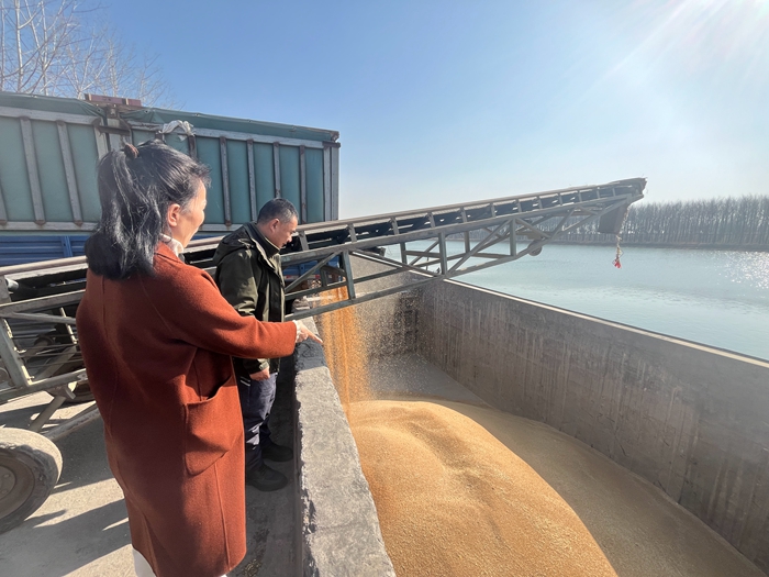 “黨建領(lǐng)航，守護(hù)糧安”淮糧集團(tuán)開展特色品牌黨建活動(dòng)